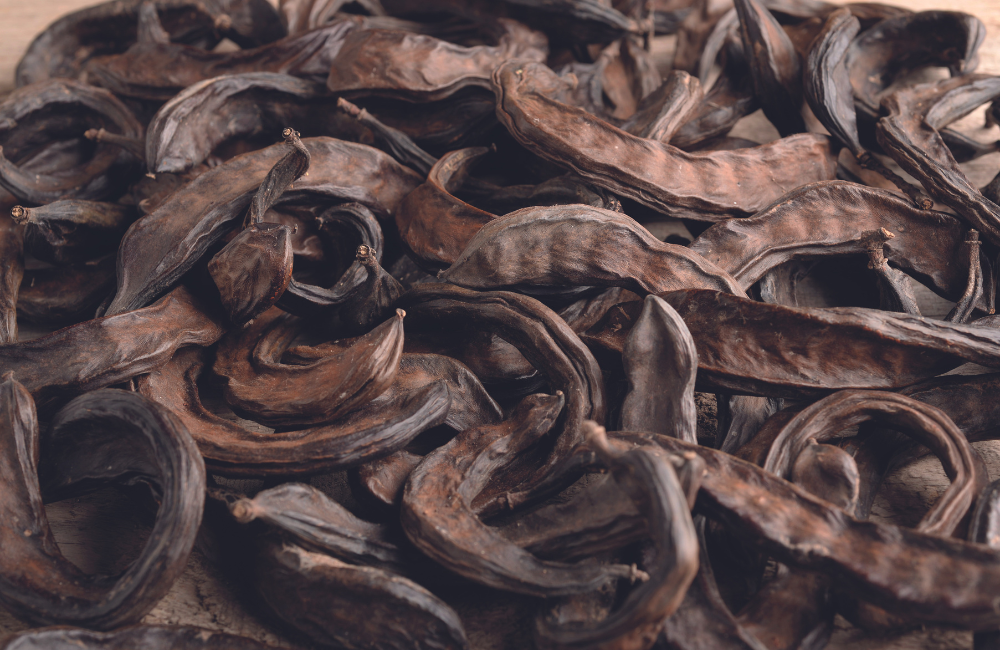 carob microbiome SCFA production in vitro model