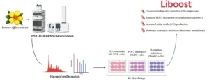 extracto de damiana Liboost perfil flavonoides mecanismo PDE5 oxido nitrico estudio